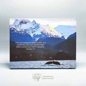 Whale Tail Canvas