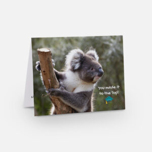 Graduation Koala Card | Front